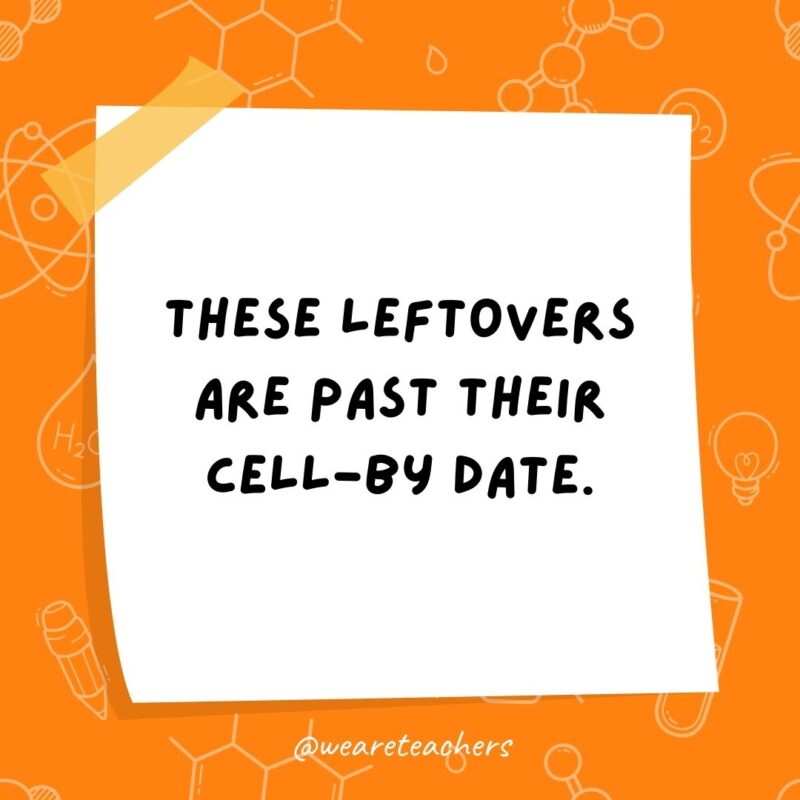 These leftovers are past their cell-by date.