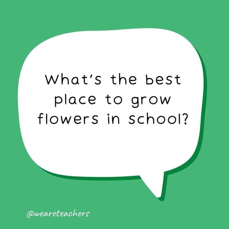 What's the best place to grow flowers in school? In kindergarden.- school jokes for kids