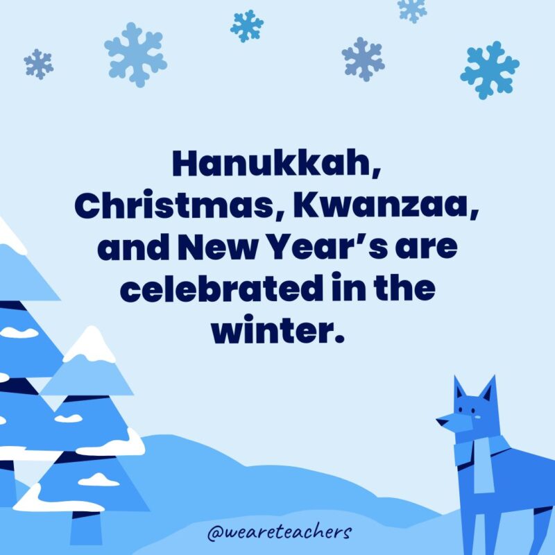 Hanukkah, Christmas, Kwanzaa, and New Year's are celebrated in the winter.