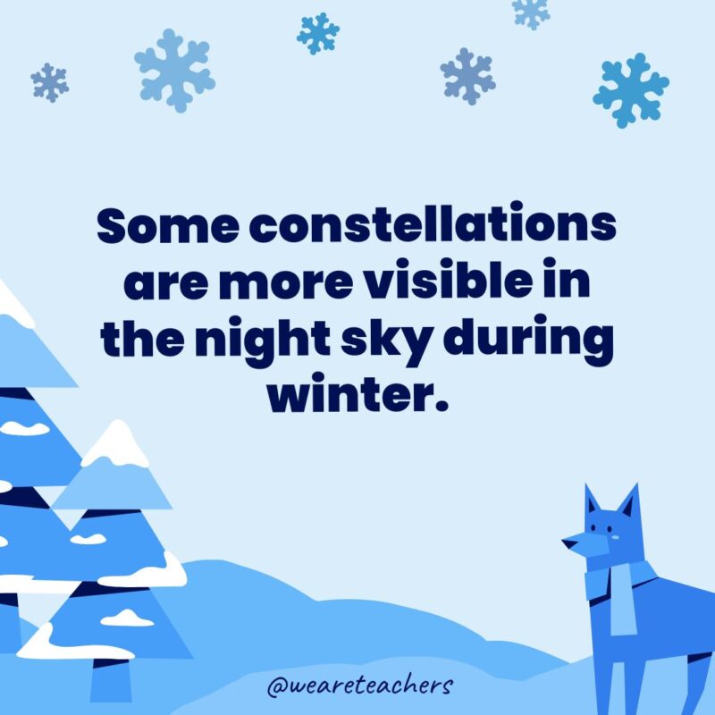 Some constellations are more visible in the night sky during winter.