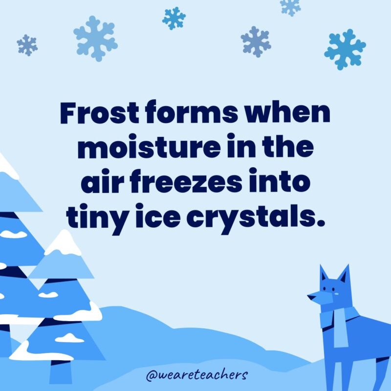 Frost forms when moisture in the air freezes into tiny ice crystals.