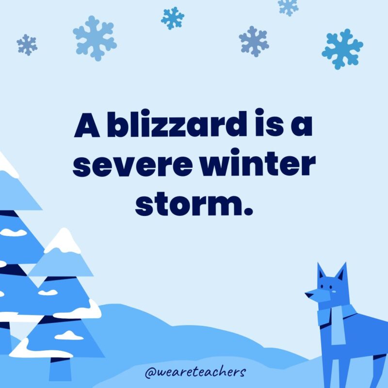 A blizzard is a severe winter storm.