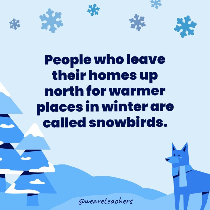 People who leave their homes up north for warmer places in winter are called snowbirds.