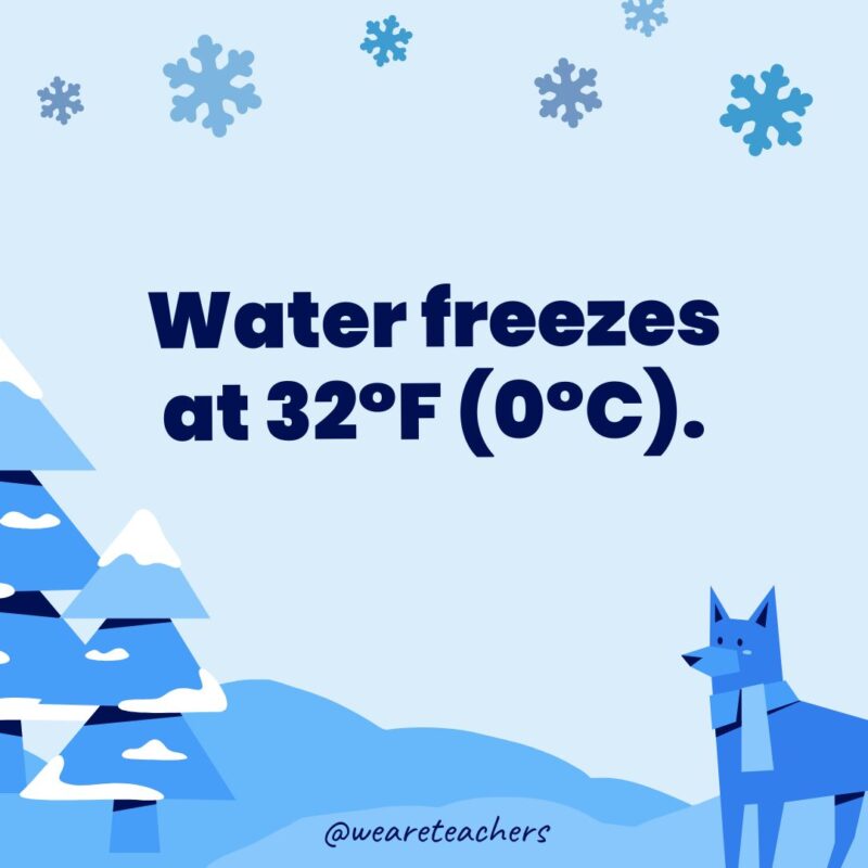 Water freezes at 32°F (0°C).