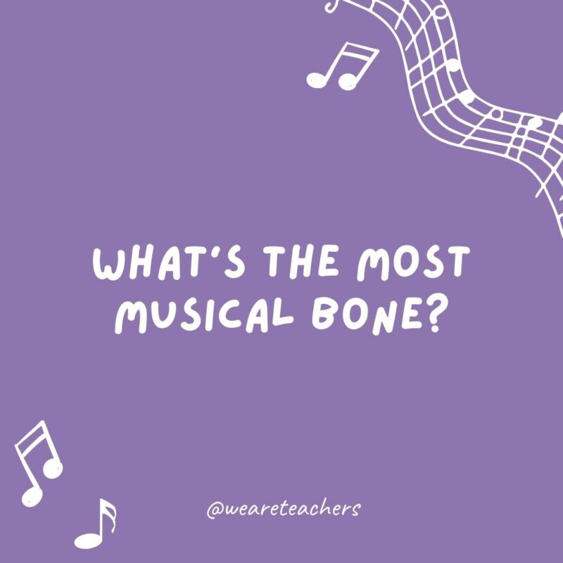 What’s the most musical bone? The trombone.