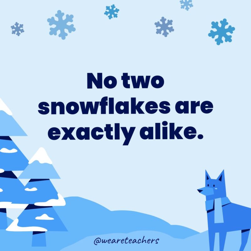 No two snowflakes are exactly alike.