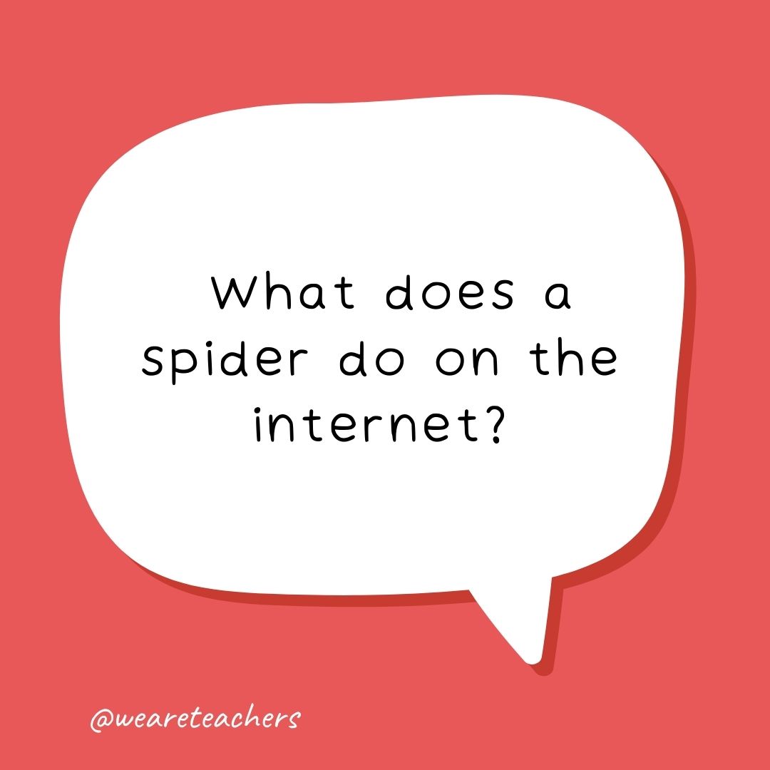 What does a spider do on the Internet?
- school jokes for kids