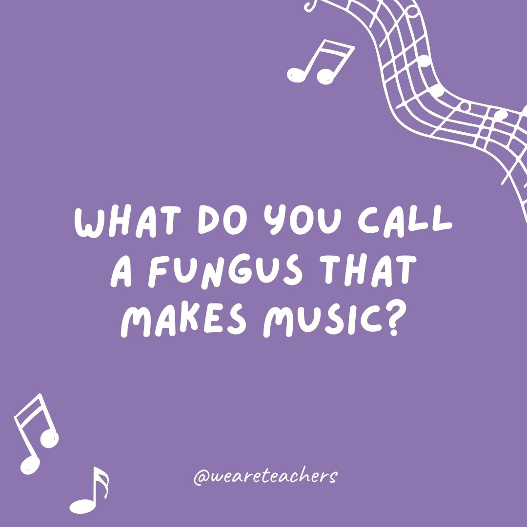 What do you call a fungus that makes music? 
