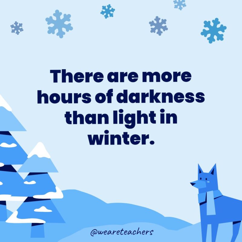 There are more hours of darkness than light in winter.