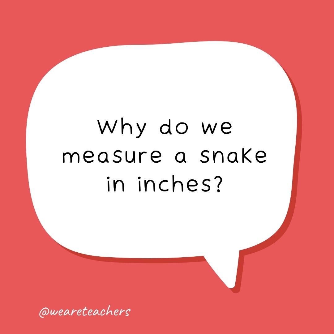 Why do we measure a snake in inches?
- school jokes for kids