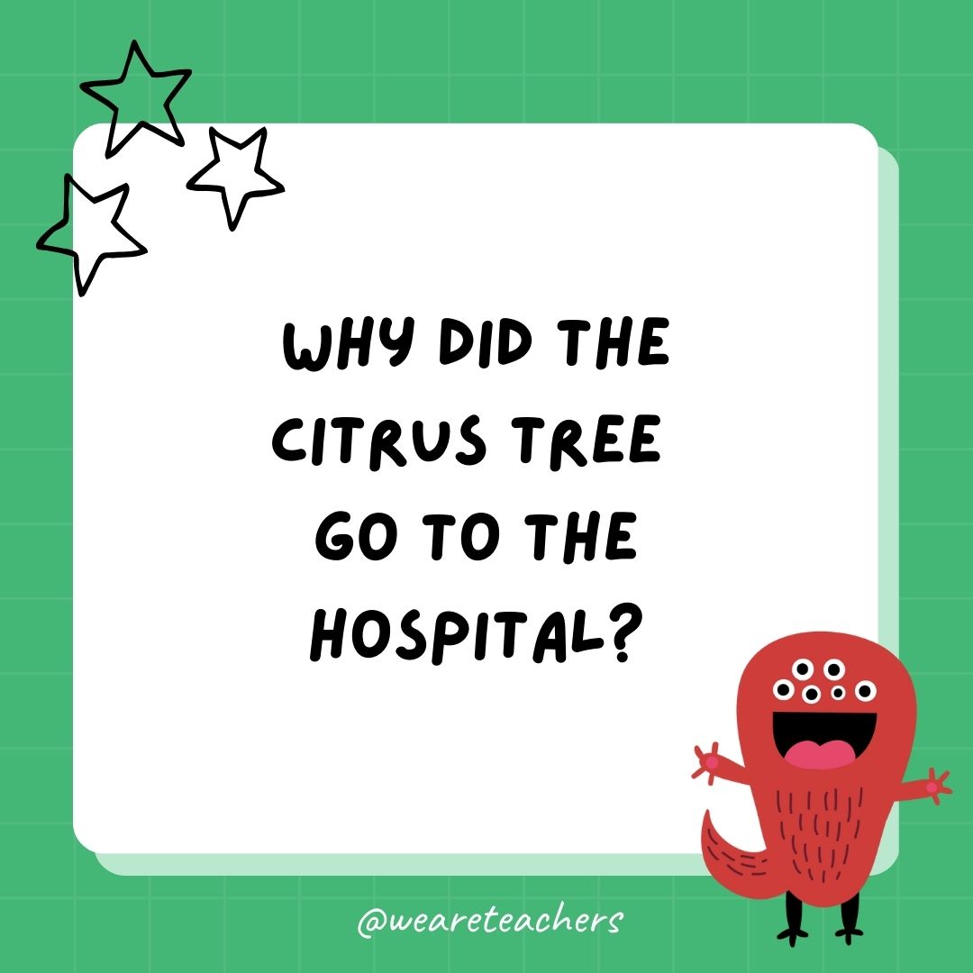 Why did the citrus tree go to the hospital? 
- best funny riddles