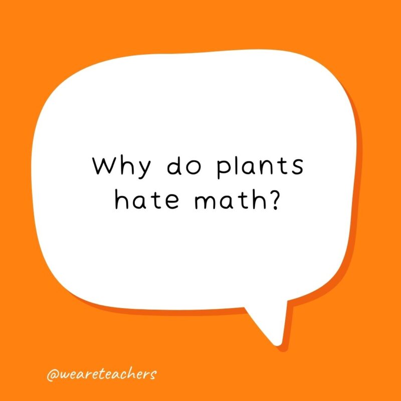 Why do plants hate math?- school jokes for kids