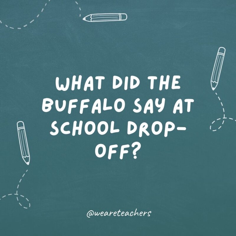  What did the buffalo say at school drop-off?