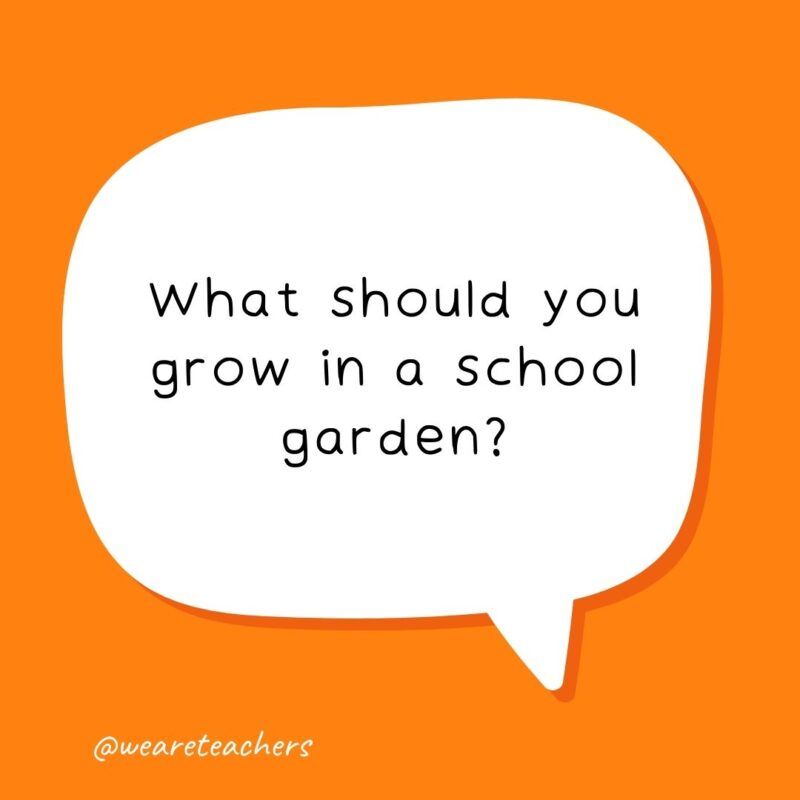 What should you grow in a school garden? Human beans.