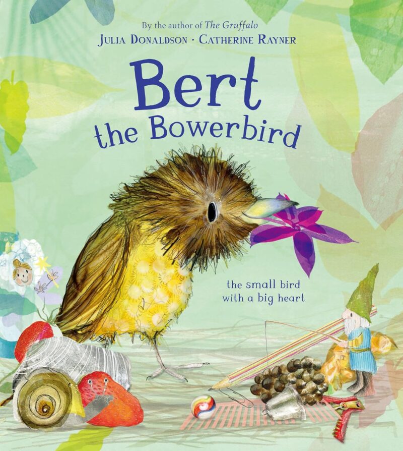 Bert, the Bowerbird book cover