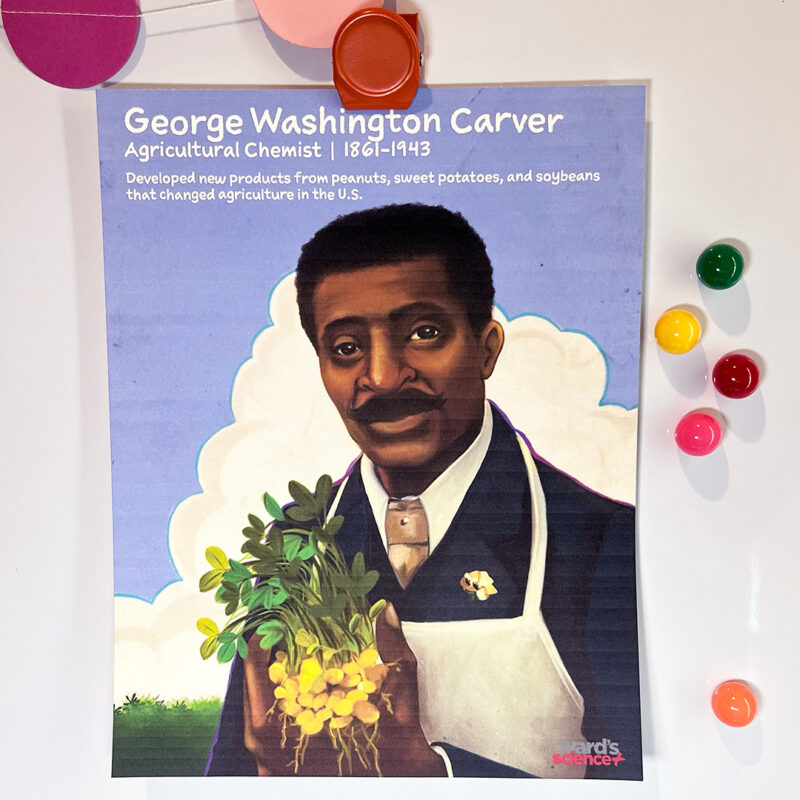 Poster of George Washington Carver