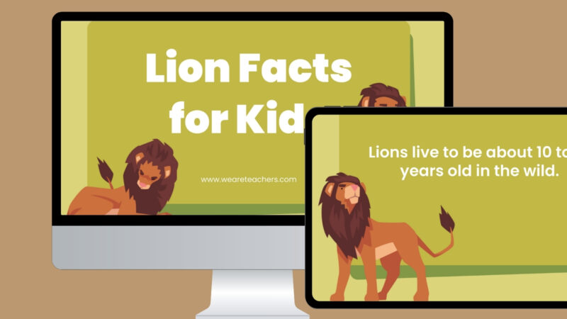 Plus, you can download a free slideshow featuring all these facts about lions! Just enter your email address in the form on this page for immediate access.