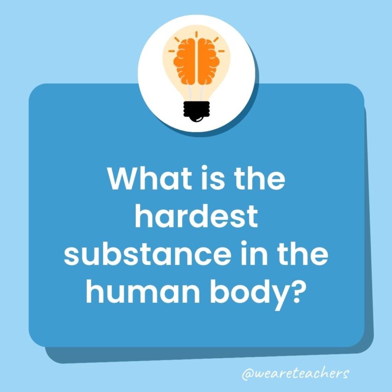 What is the hardest substance in the human body?