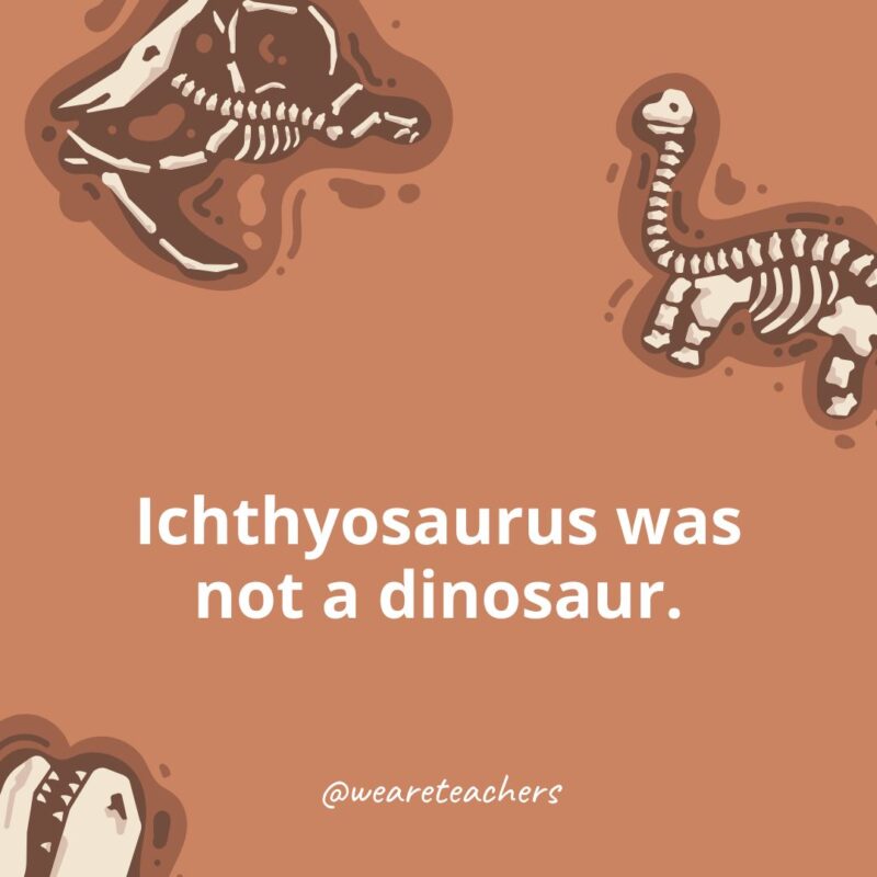 Ichthyosaurus was not a dinosaur.