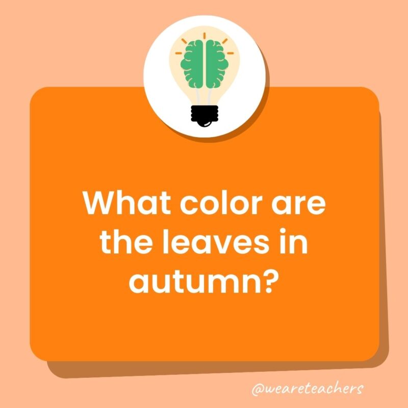 What color are the leaves in autumn?