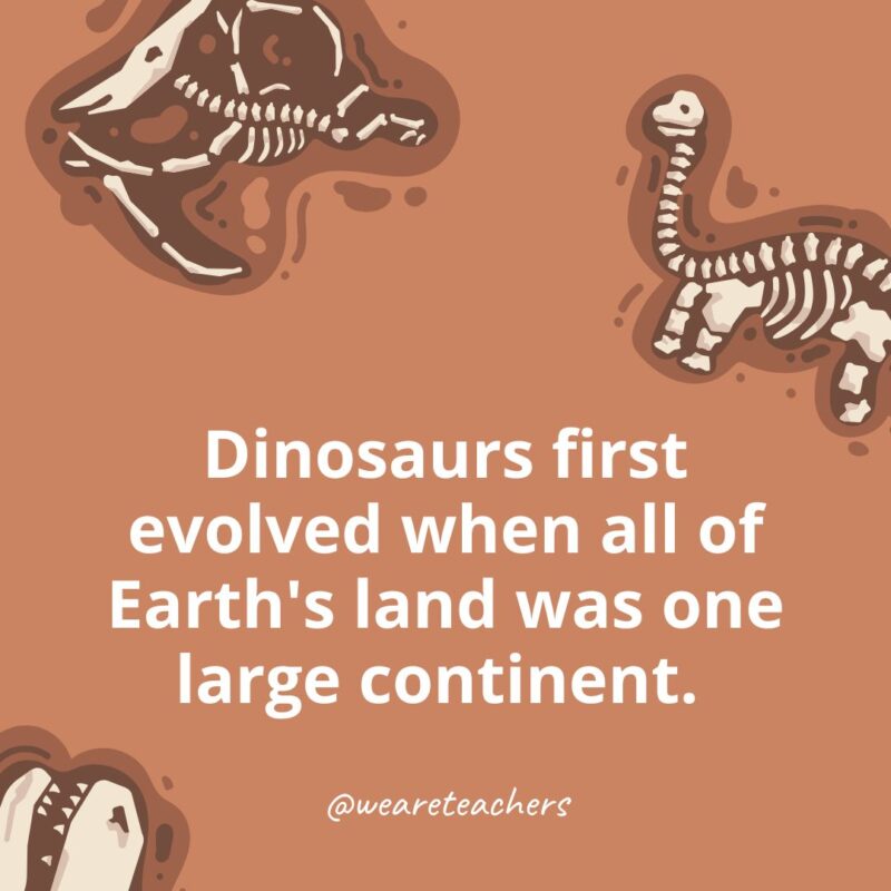 Dinosaurs first evolved when all of Earth's land was one large continent. 