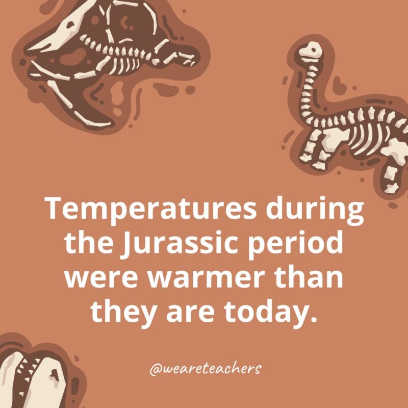 Temperatures during the Jurassic period were warmer than they are today.-dinosaur facts for kids