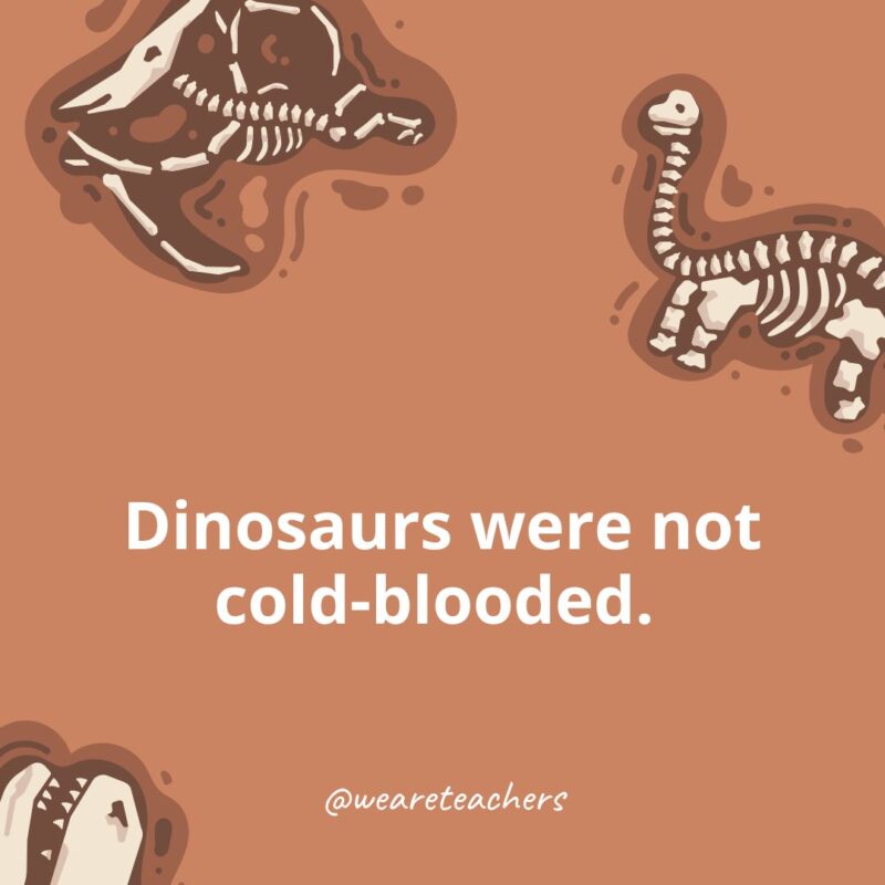 Dinosaurs were not cold-blooded. 