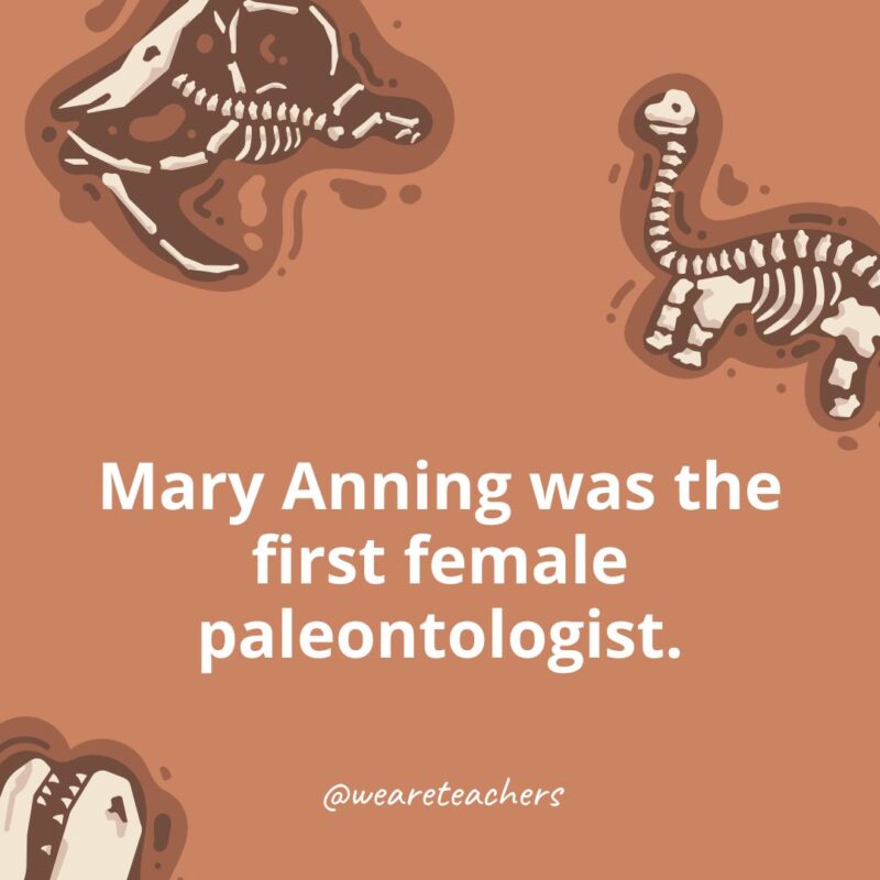 Mary Anning was the first female paleontologist.-dinosaur facts for kids