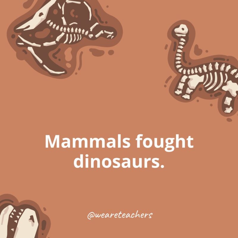 Mammals fought dinosaurs.