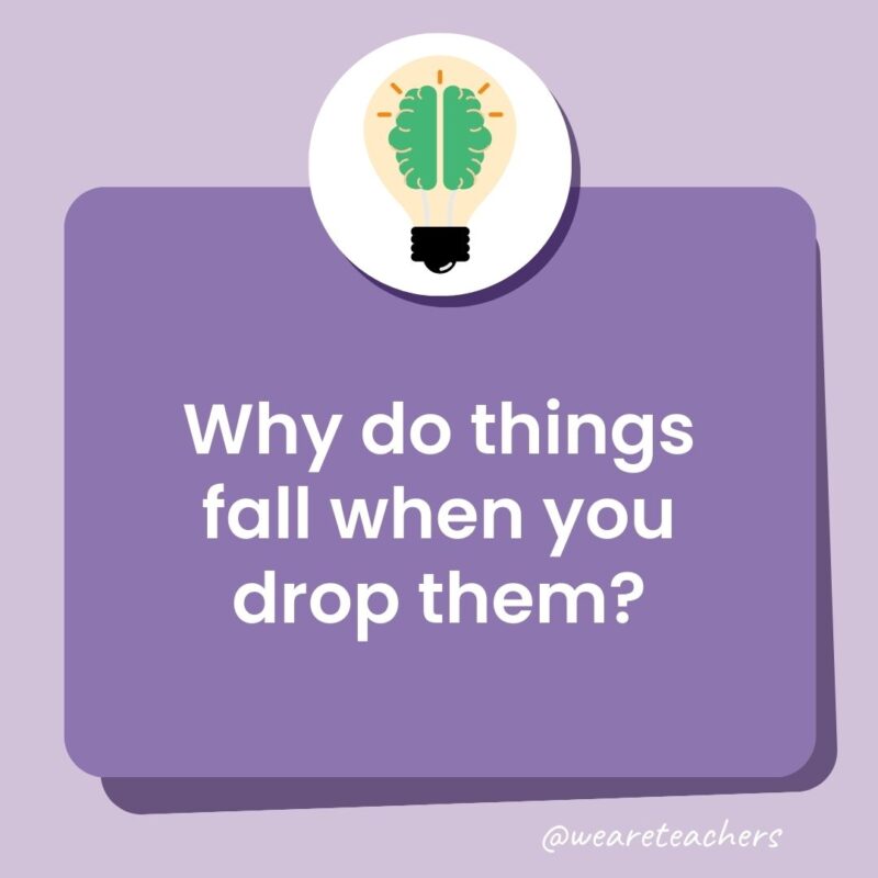 Trivia questions for kids: Why do things fall when you drop them?