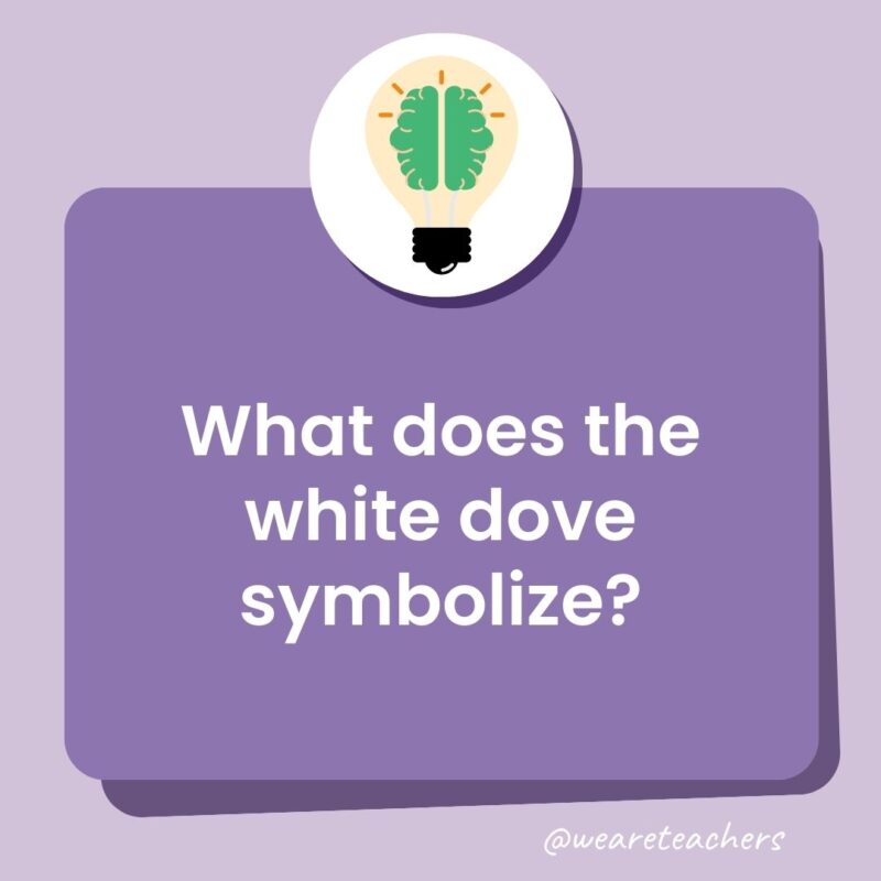 What does the white dove symbolize?