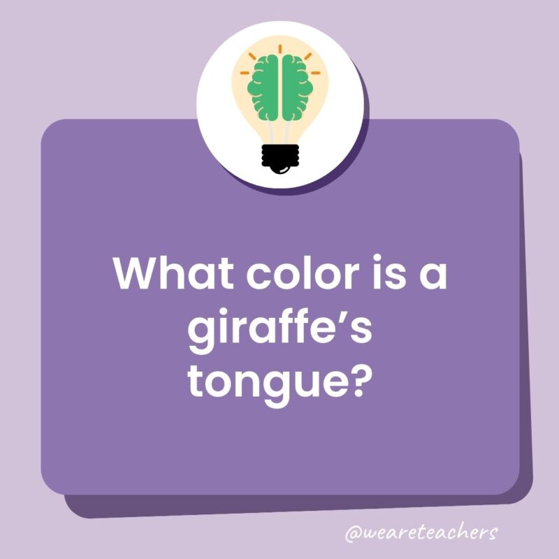 What color is a giraffe's tongue?