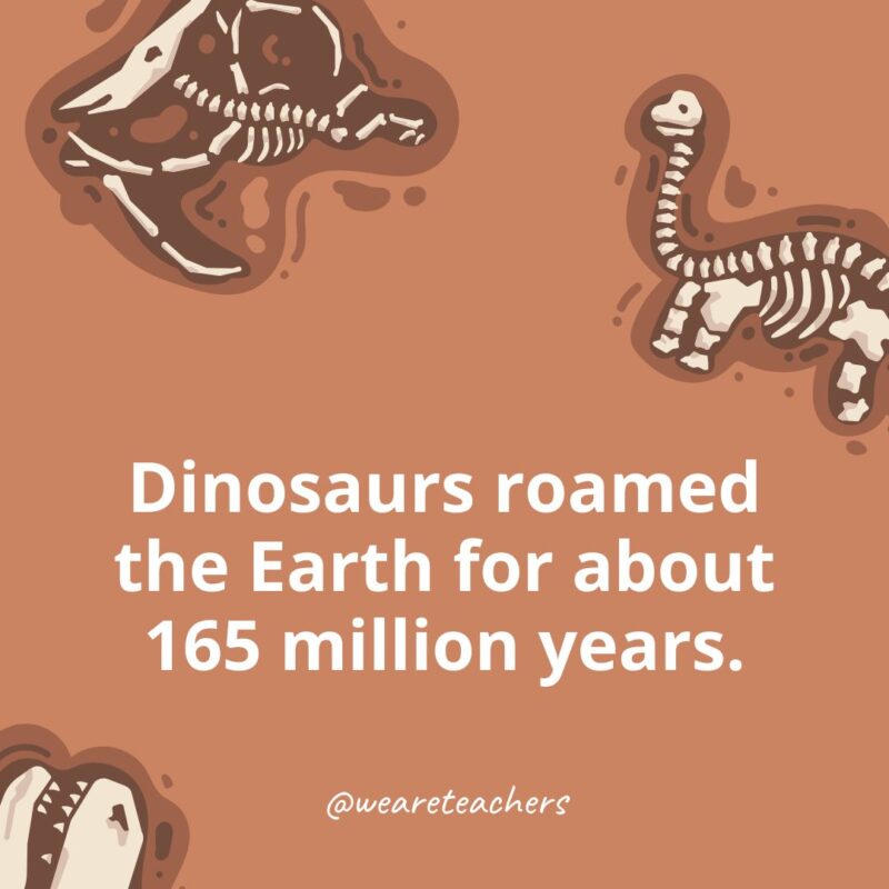 Dinosaurs ruled the Earth for more than 150 million years. 