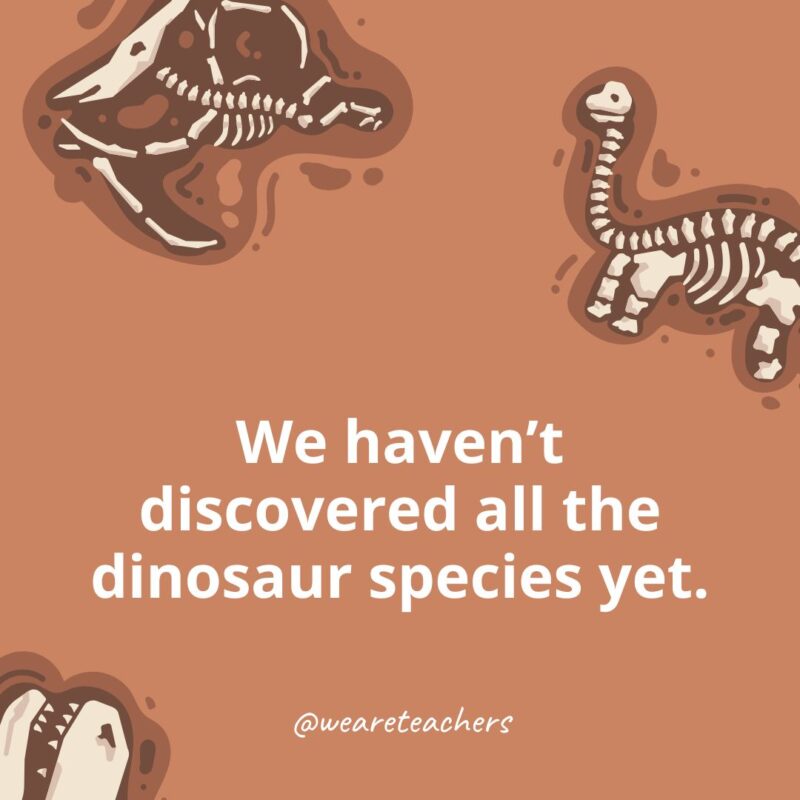 We haven’t discovered all the dinosaur species yet.-dinosaur facts for kids