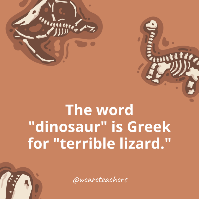 The word dinosaur comes from the Greek language.- dinosaur facts for kids