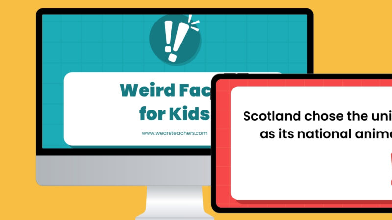 weird fun facts