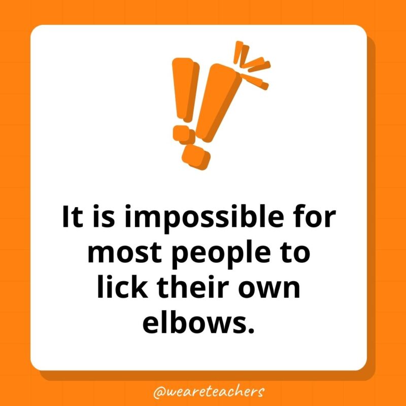 Weird fun facts - It is impossible for most people to lick their own elbows.