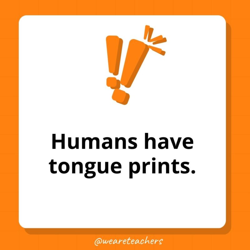 Humans have tongue prints. - weird fun facts