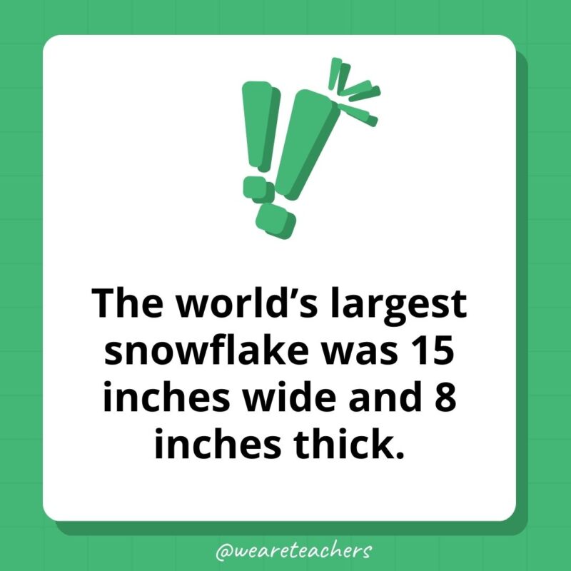  The world's largest snowflake was 15 inches wide and 8 inches thick. 