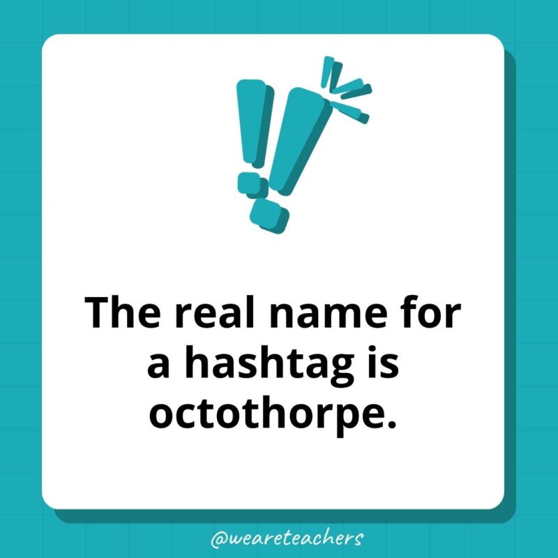 The real name for a hashtag is octothorpe- weird fun facts