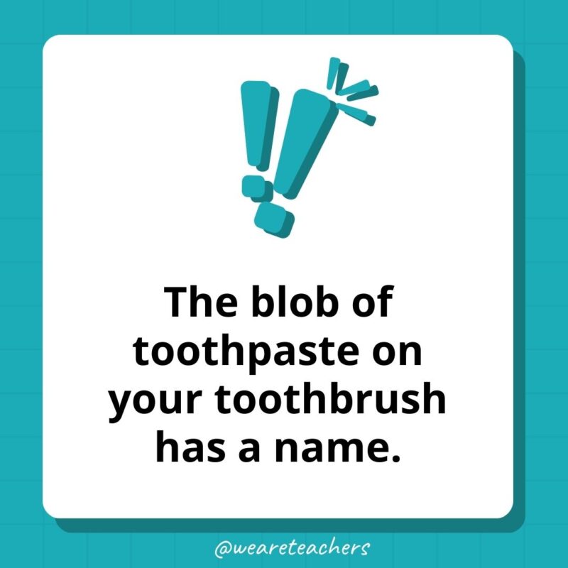 The blob of toothpaste on your toothbrush has a name.