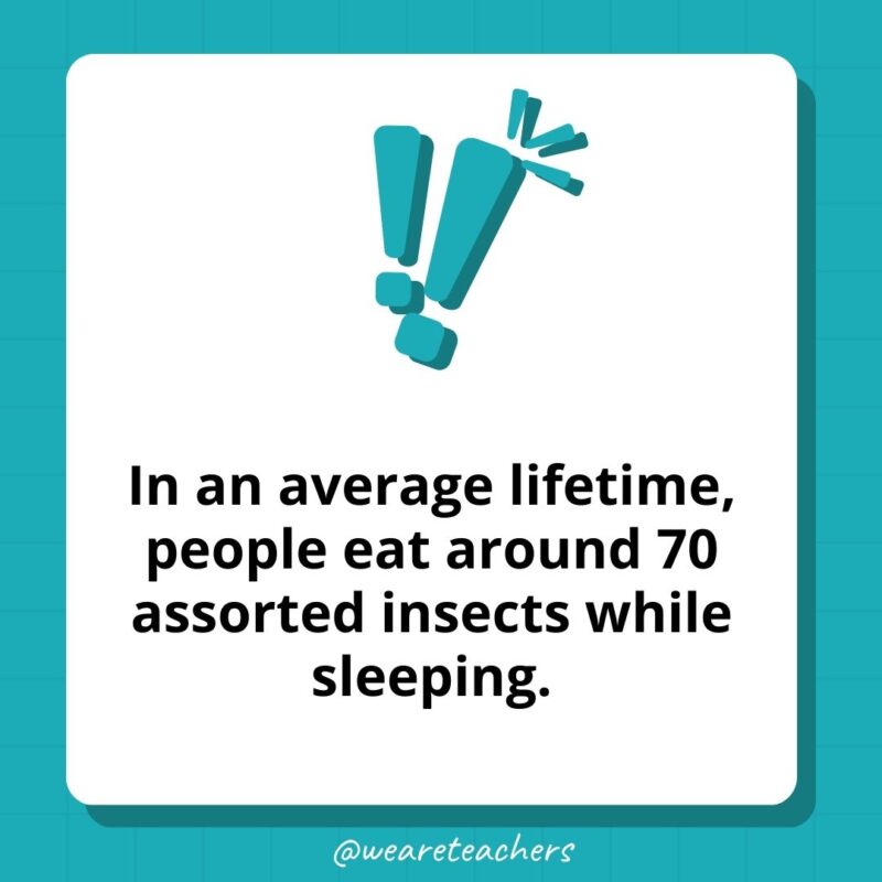 In an average lifetime, people eat around 70 assorted insects while sleeping.- weird fun facts