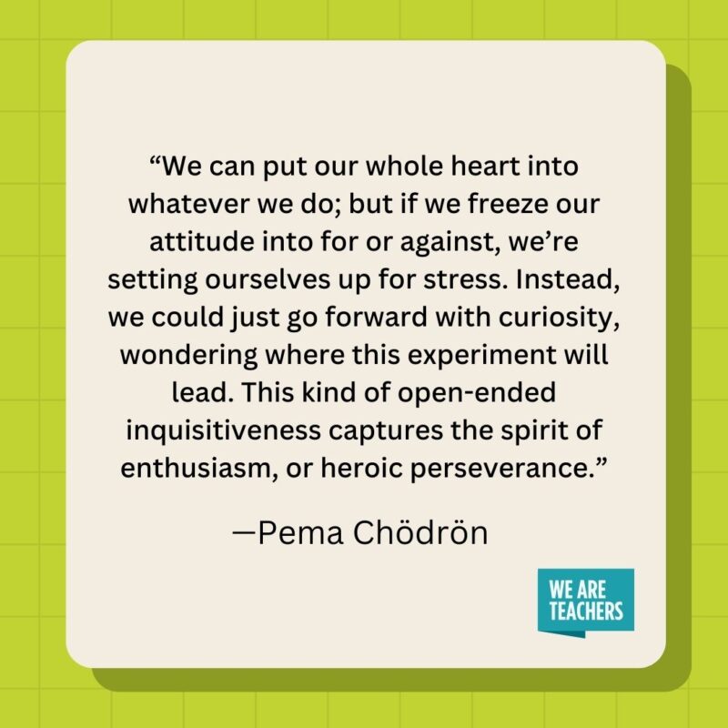 We can put our whole heart into whatever we do; but if we freeze our attitude into for or against, we're setting ourselves up for stress. Instead, we could just go forward with curiosity, wondering where this experiment will lead. This kind of open-ended inquisitiveness captures the spirit of enthusiasm, or heroic perseverance.- inspirational quotes