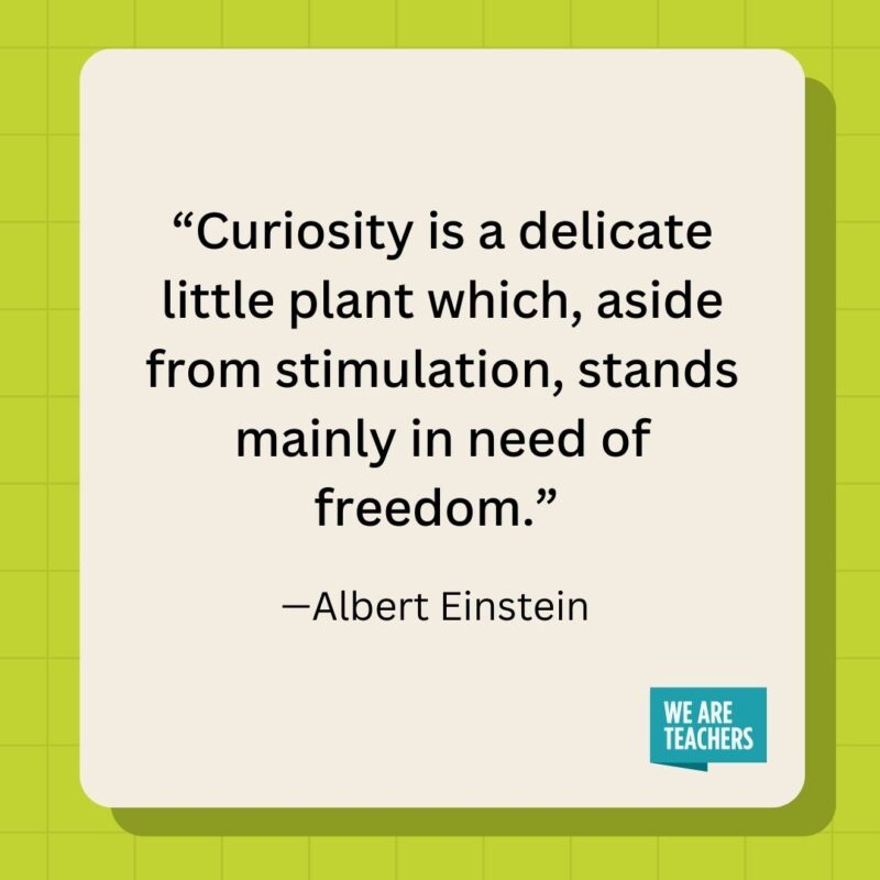 Curiosity is a delicate little plant which, aside from stimulation, stands mainly in need of freedom.