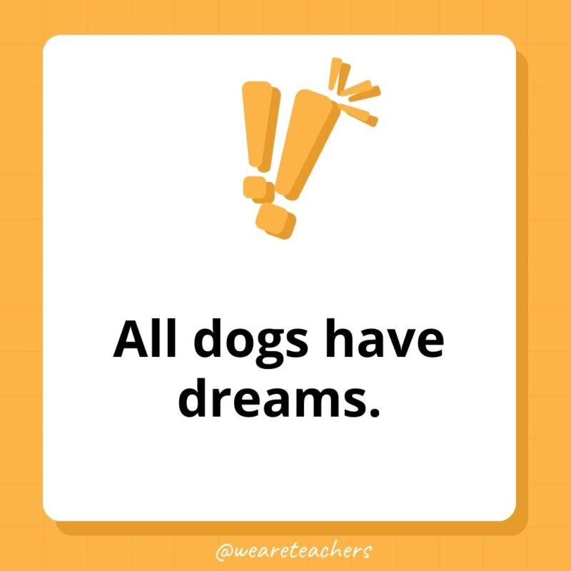 Weird fun facts - All dogs have dreams.