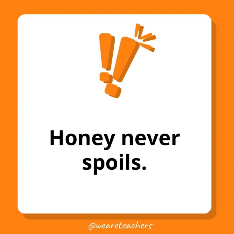 Weird fun facts - Honey never spoils.