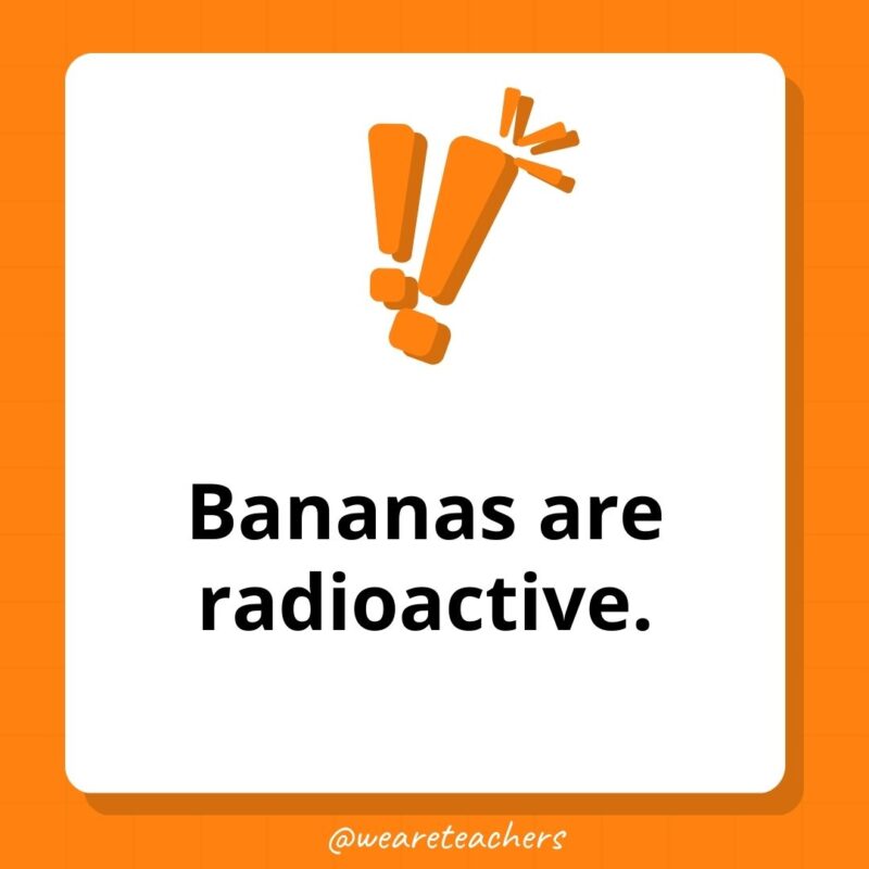 Bananas are radioactive.