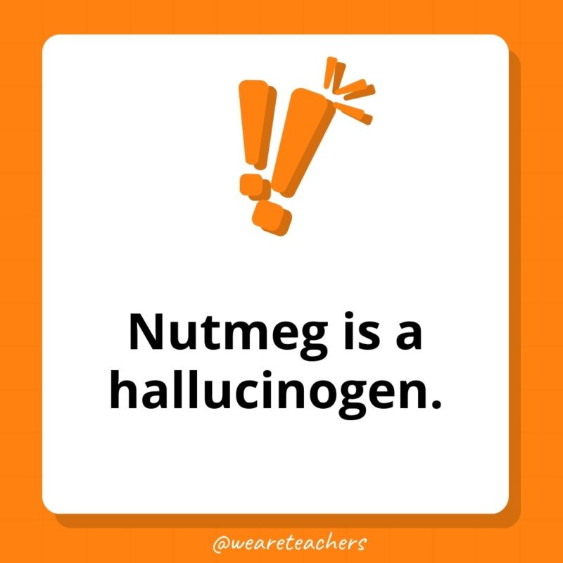 Nutmeg is a hallucinogen.