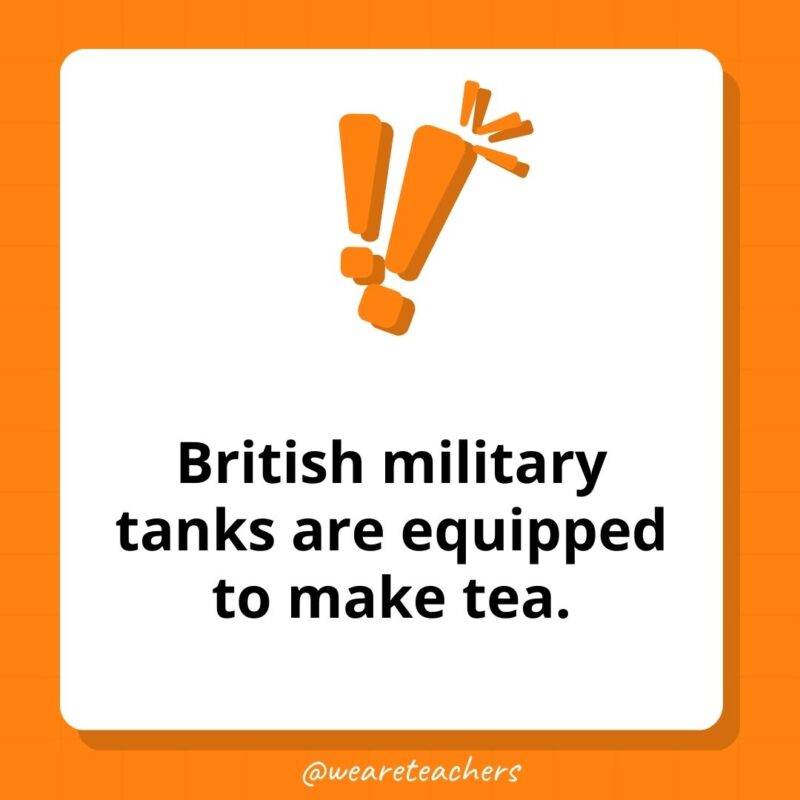 Weird fun facts - British military tanks are equipped to make tea.