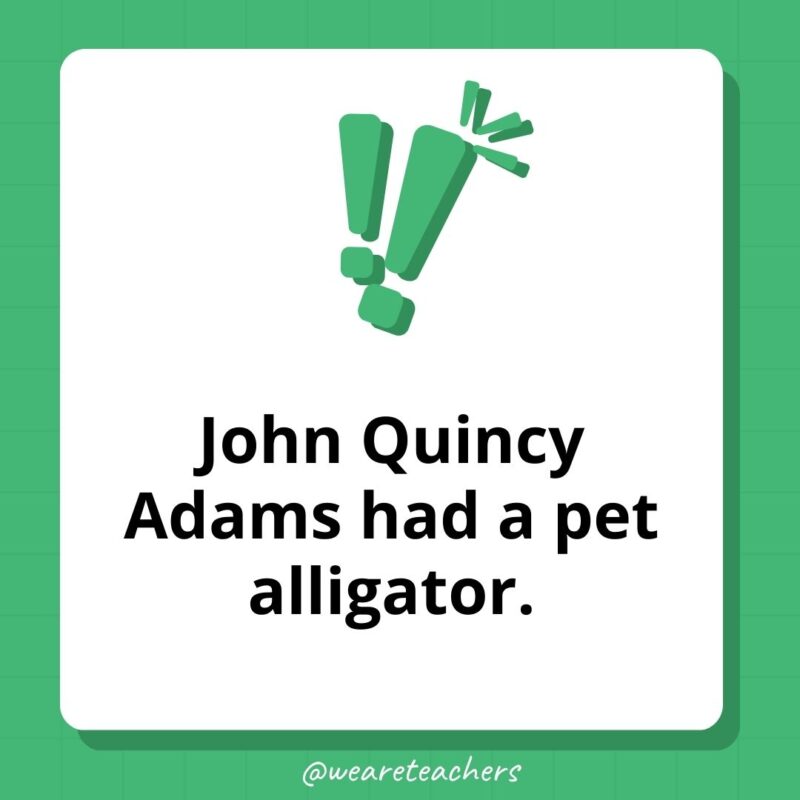 John Quincy Adams had a pet alligator.